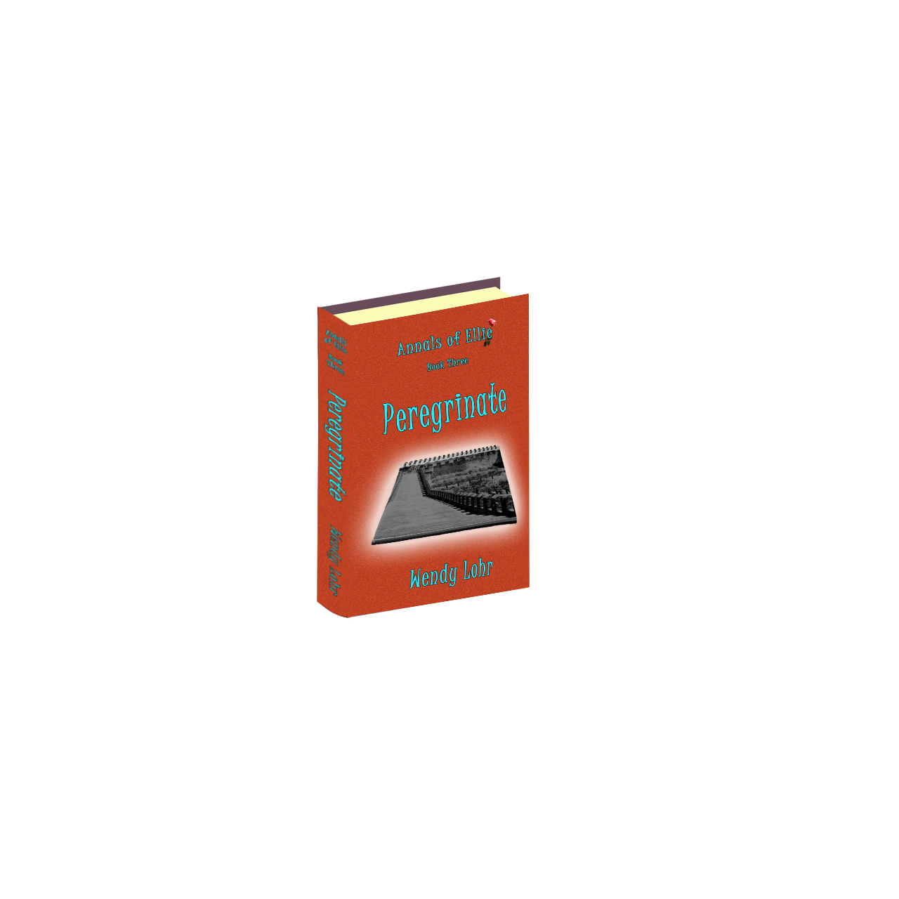 book cover for Peregrinate