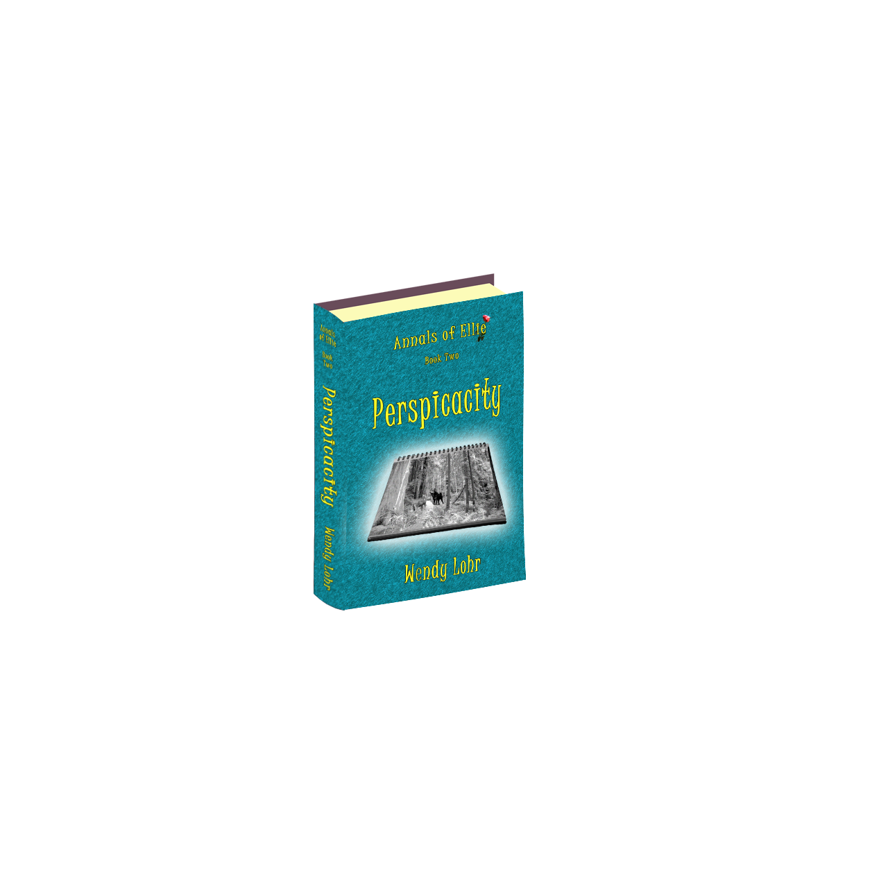 book cover for Perspicacity